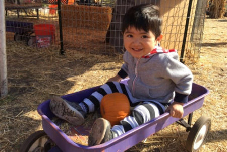 young child in wagon with pumpkin