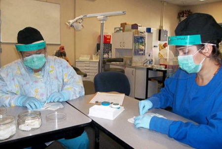 Dos estudiantes de odontología sentados con uniformes y máscaras