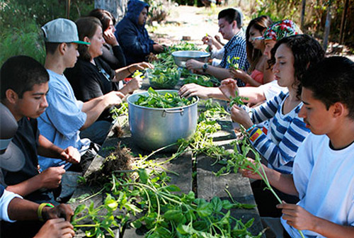 Seed to Table Your Future Is Our Business YFIOB 13th Annual